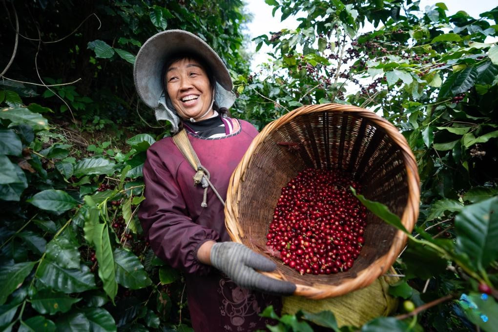 Crimson Dragon - China