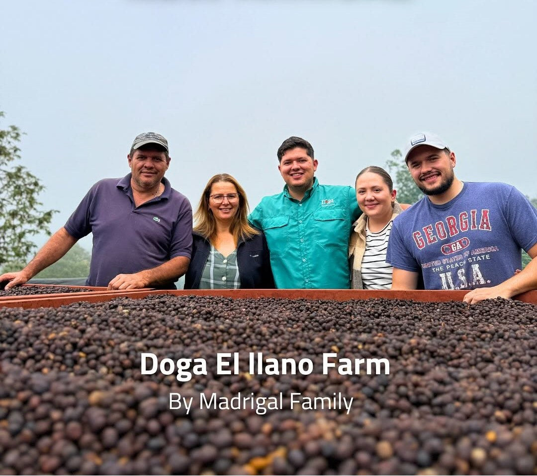 Amber Dulce - Costa Rica