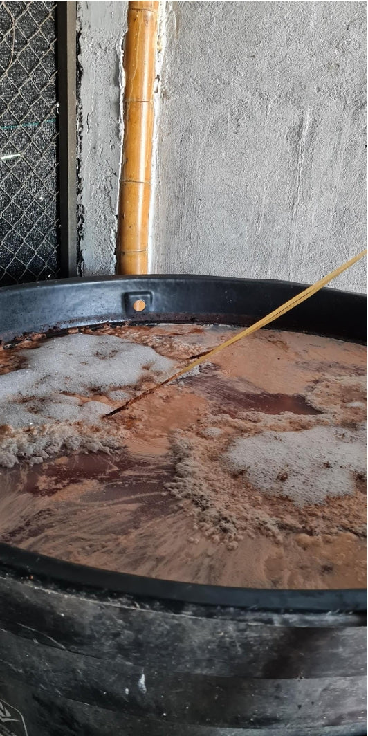 Kombucha  - Colombia