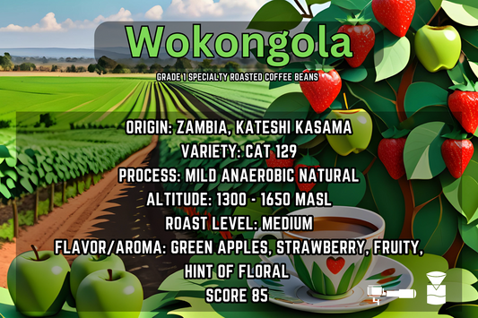 Wokongola - Zambia